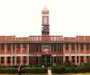 NIILM University